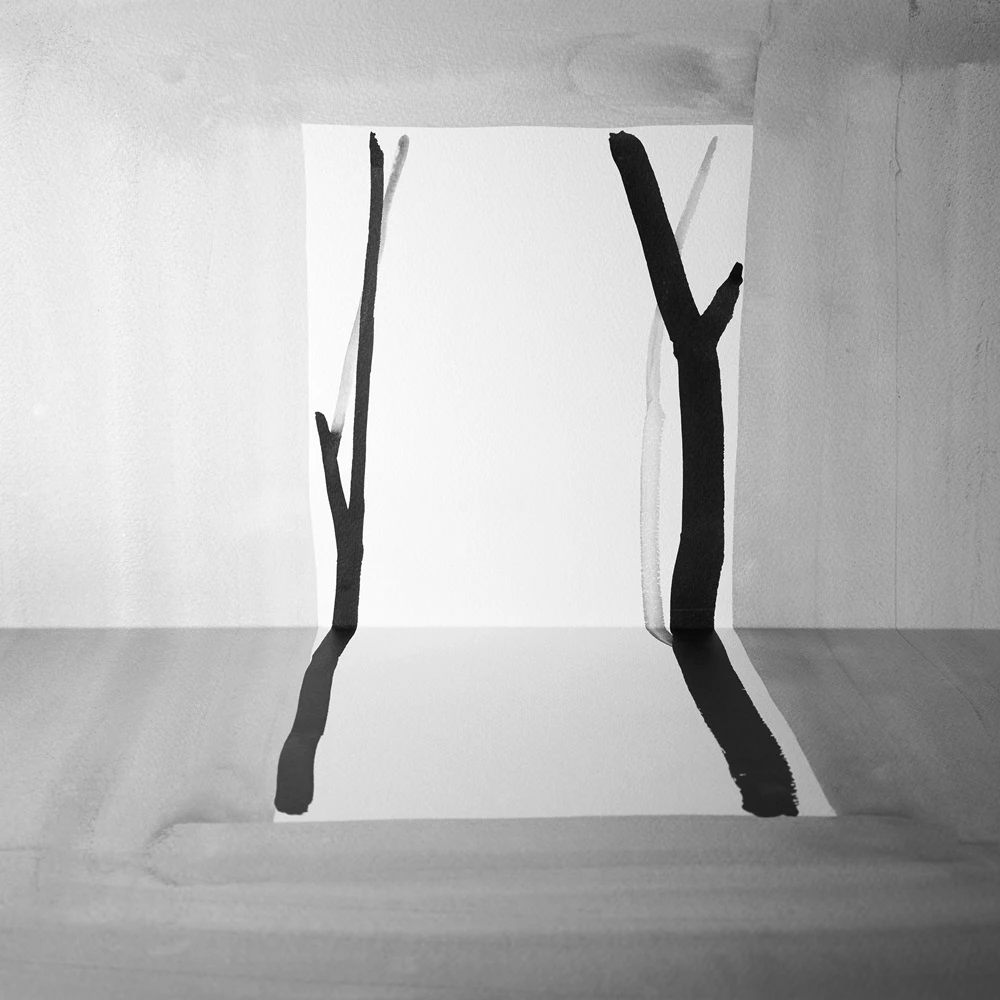 《問影#2》，2017，微噴輸出藝術紙，100×100cm。©王雅慧-圖片